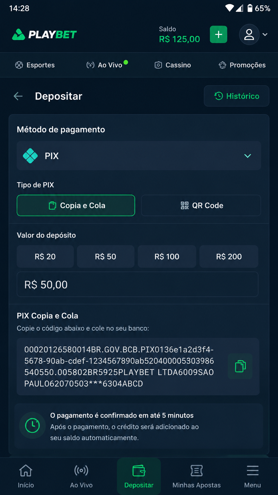 5brwin screenshot