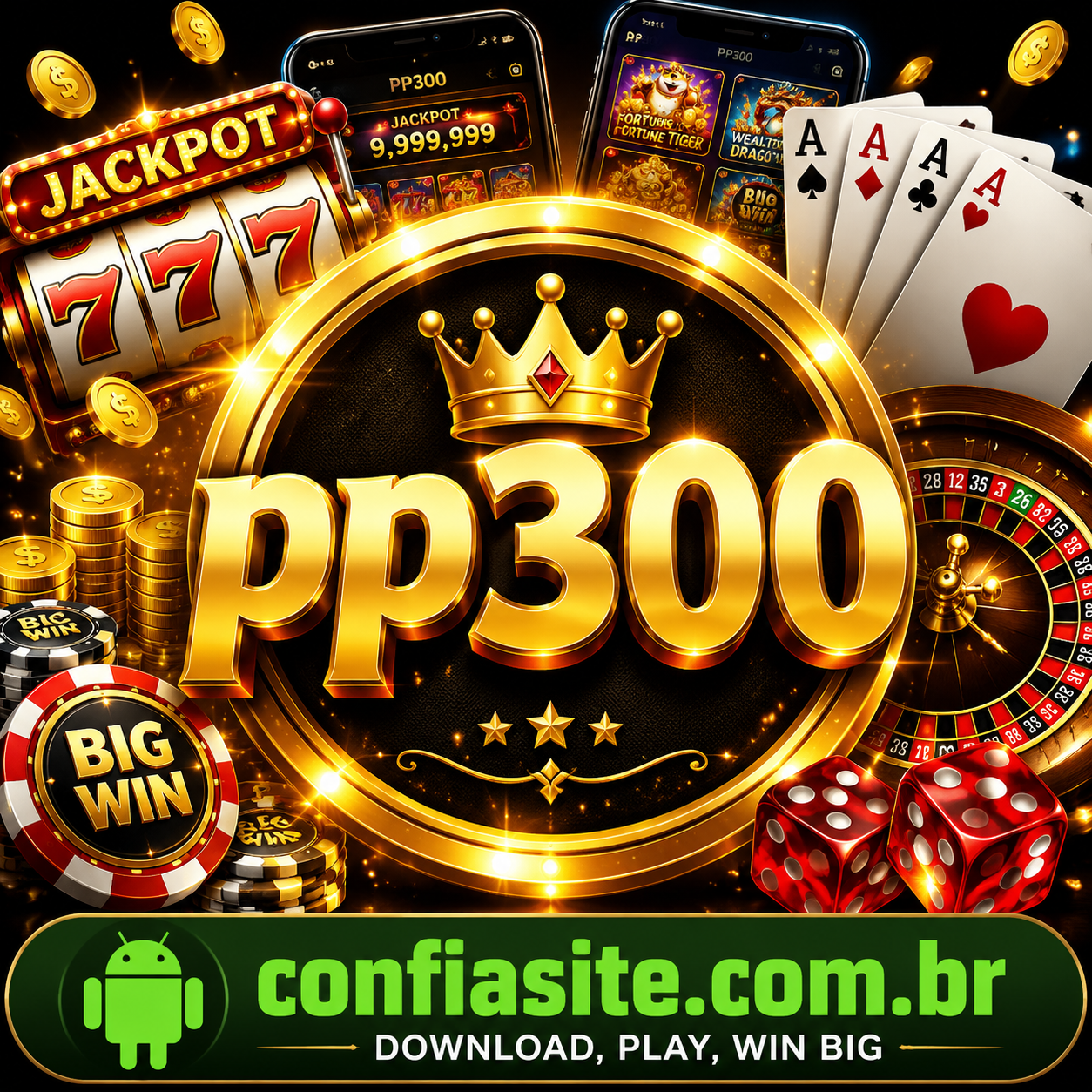 pp300