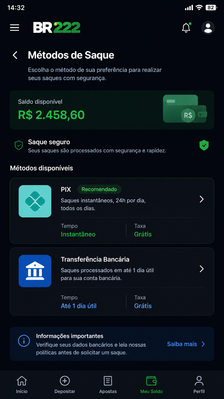 BR222 screenshot